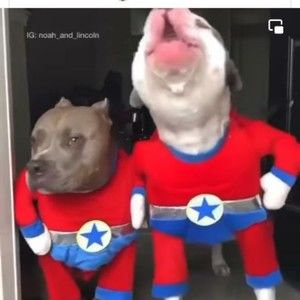 Meet your Posher, Joseph